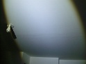 grande chambre: peinture du plafond à bullée (en lumière rasante)